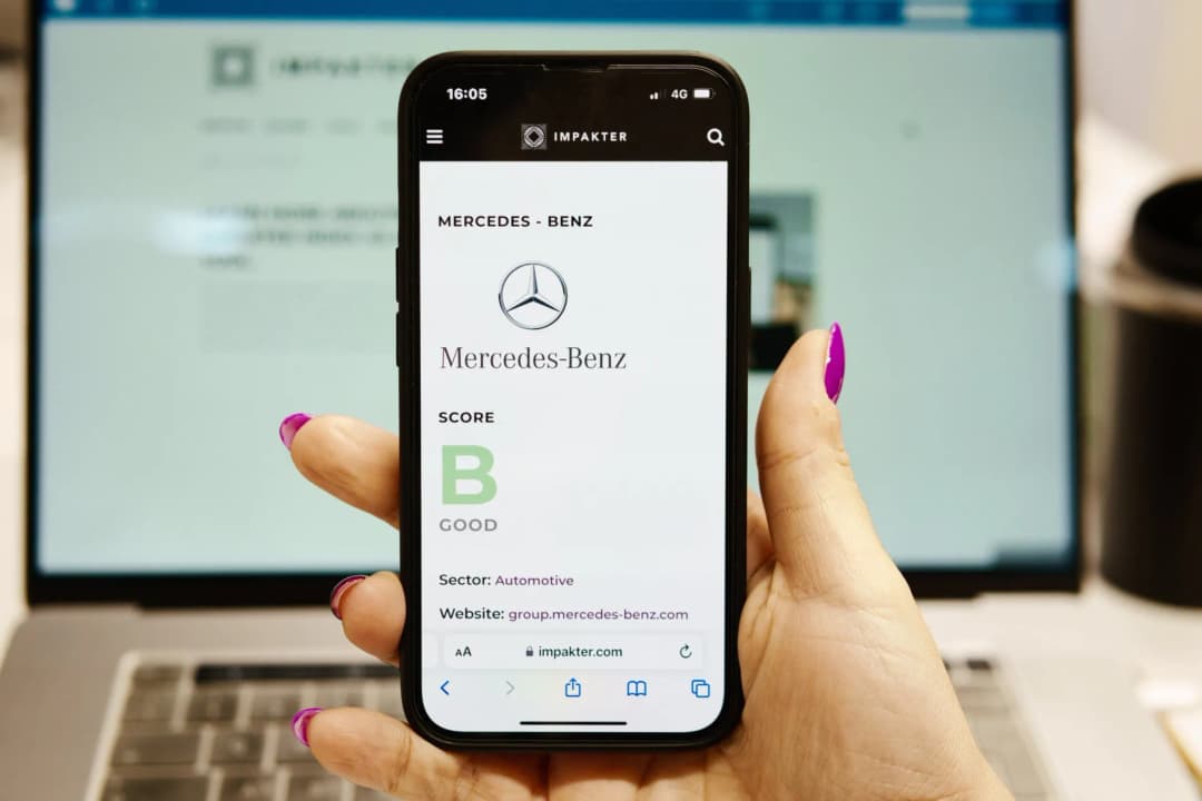 impakter website preview